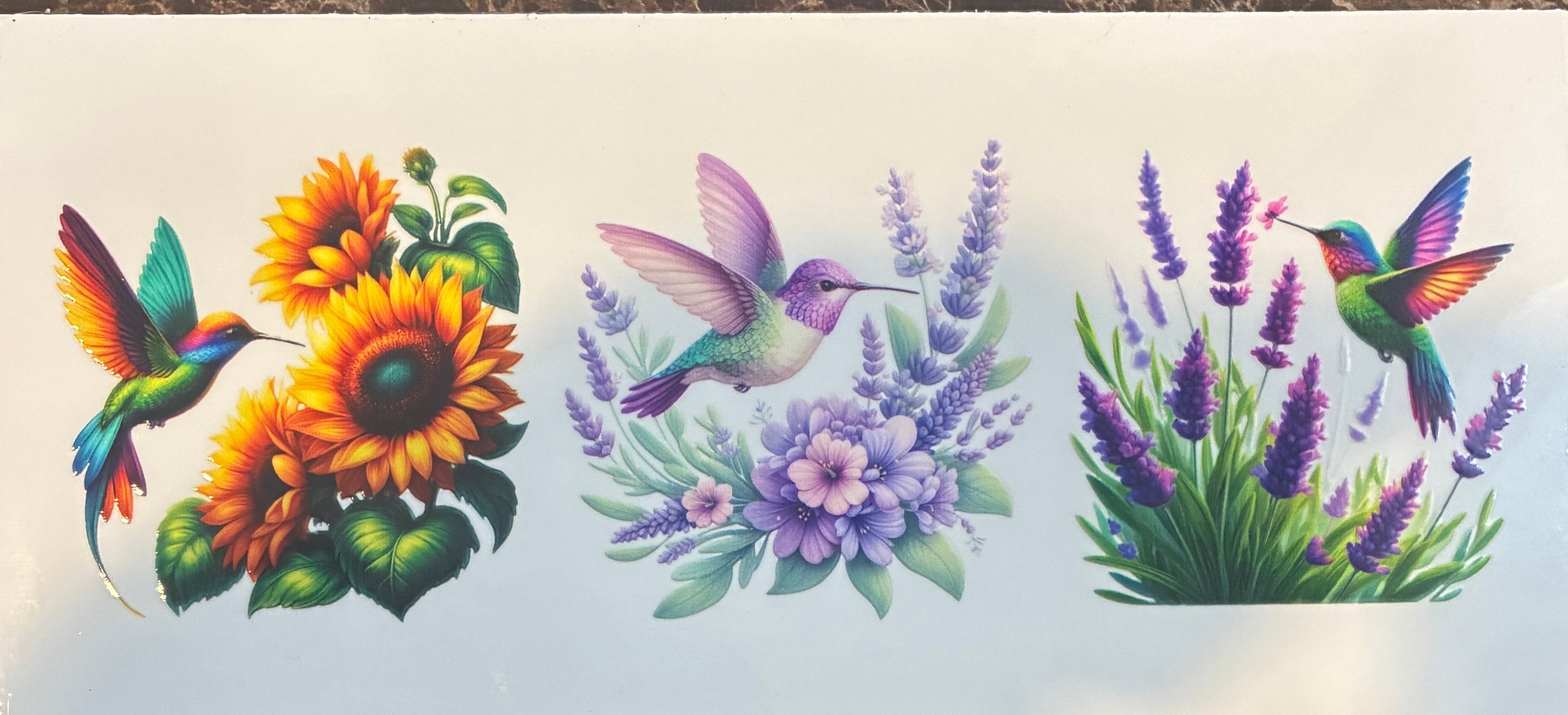 Hummingbirds