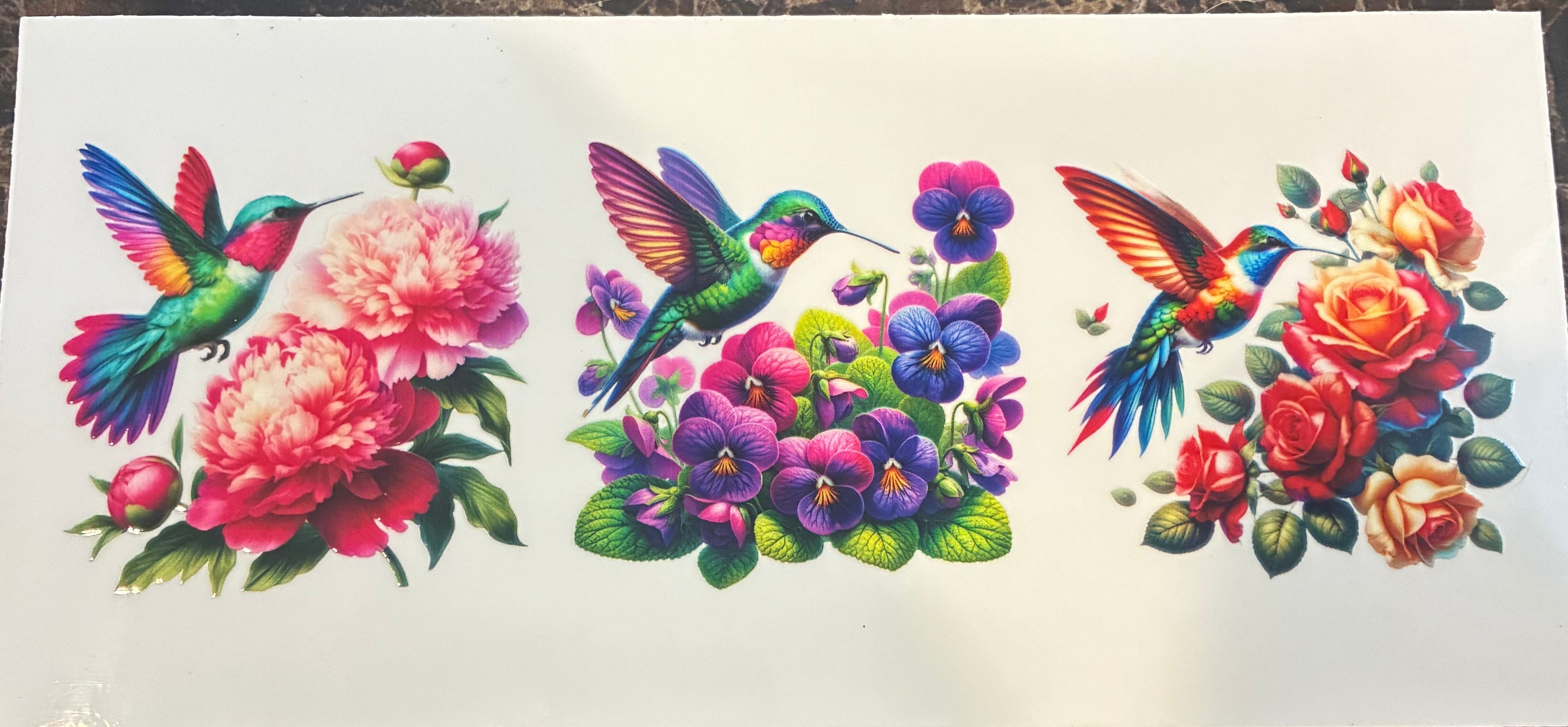 Hummingbirds