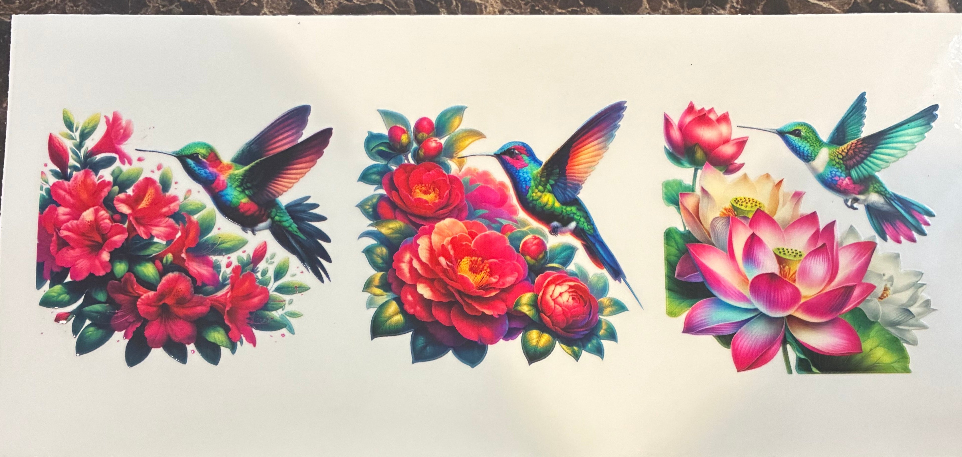 Hummingbirds