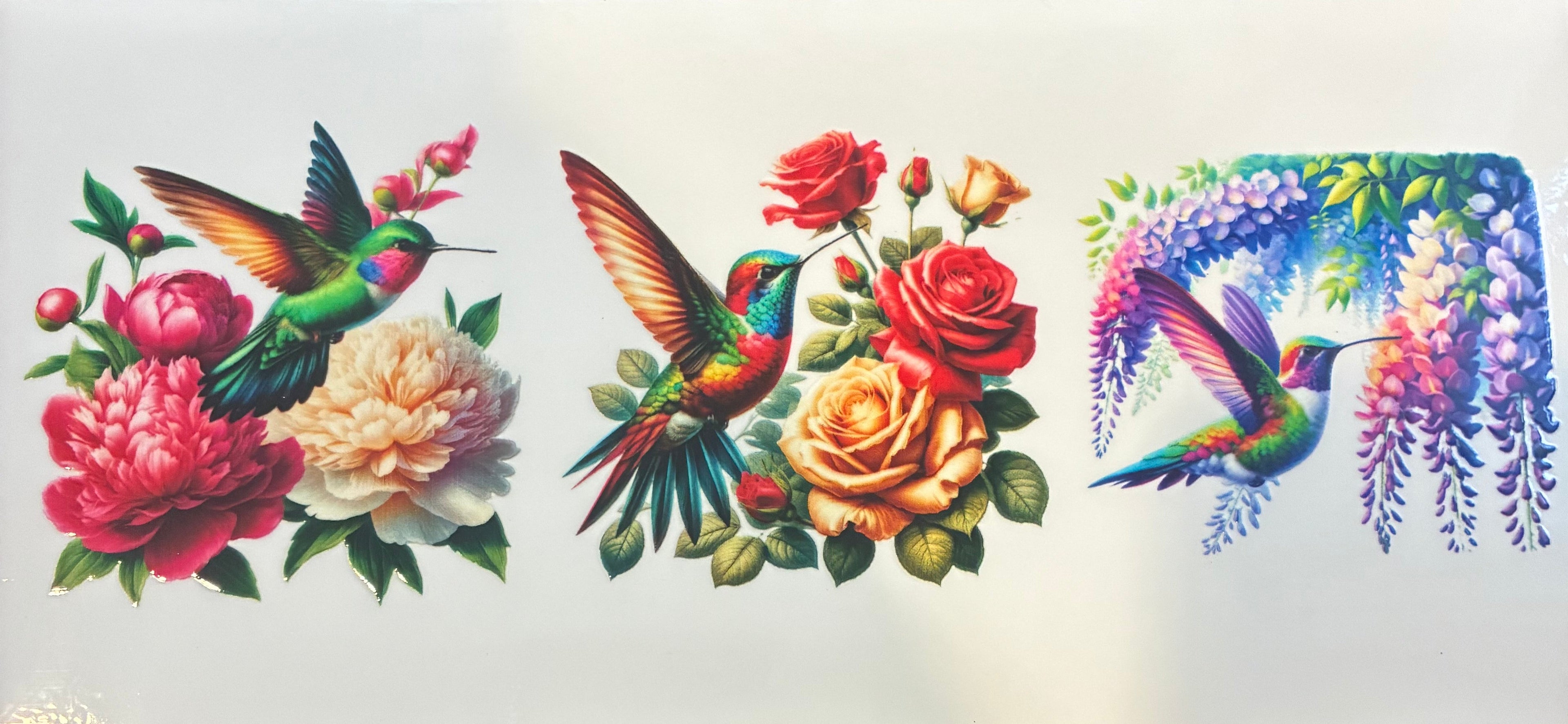 Hummingbirds