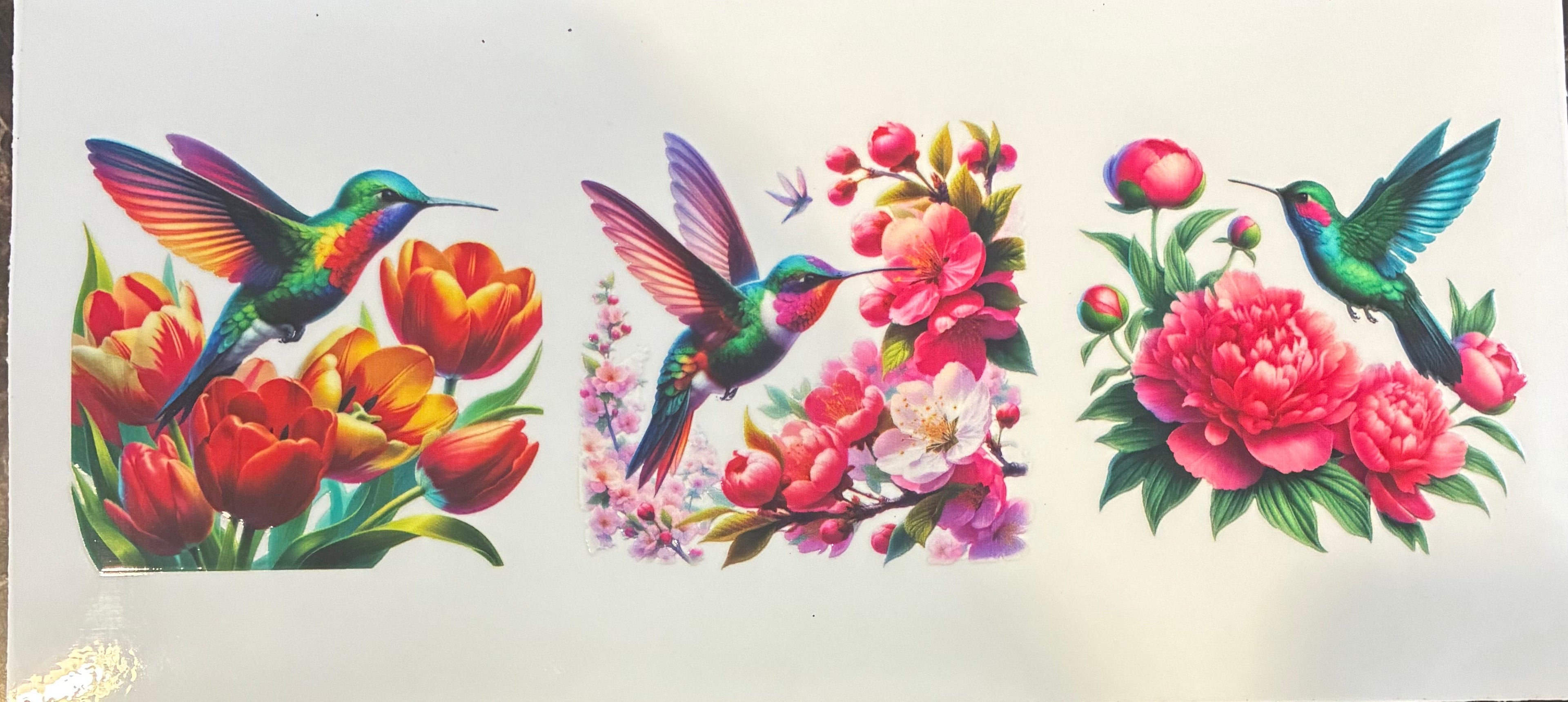 Hummingbirds