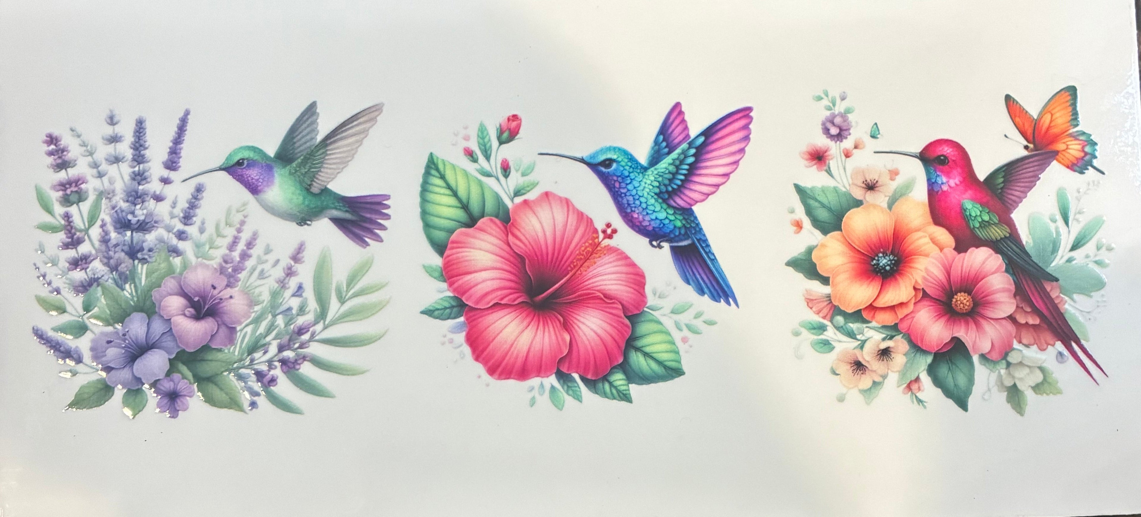 Hummingbirds