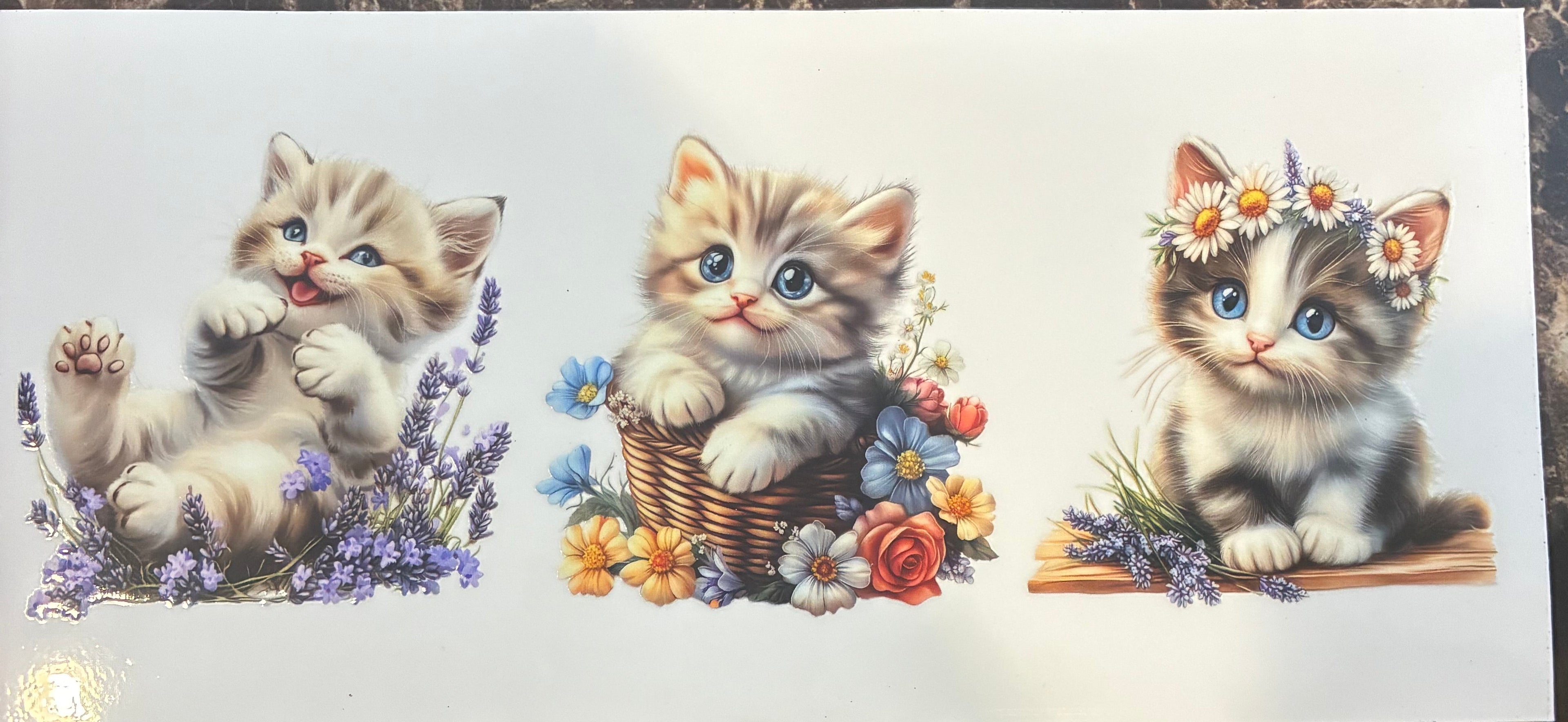 Cat wrap