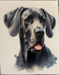 Great Dane