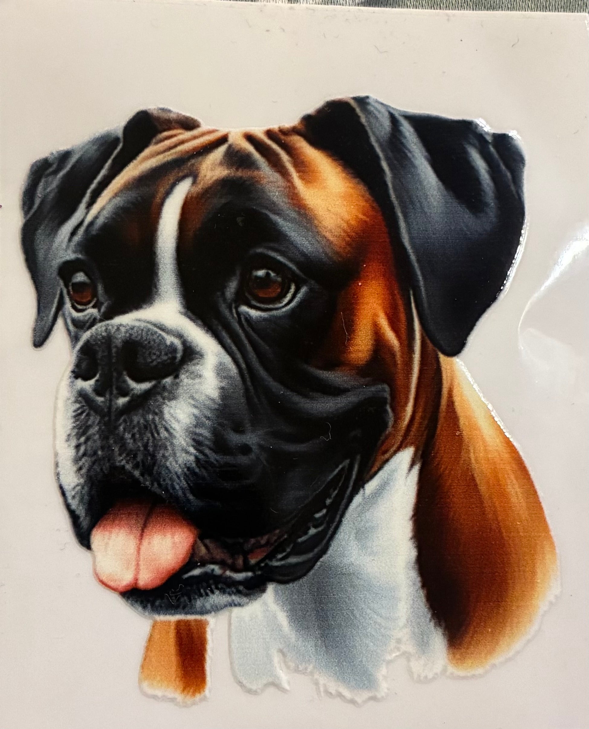 Boxer