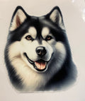 Husky