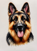 German shepherd