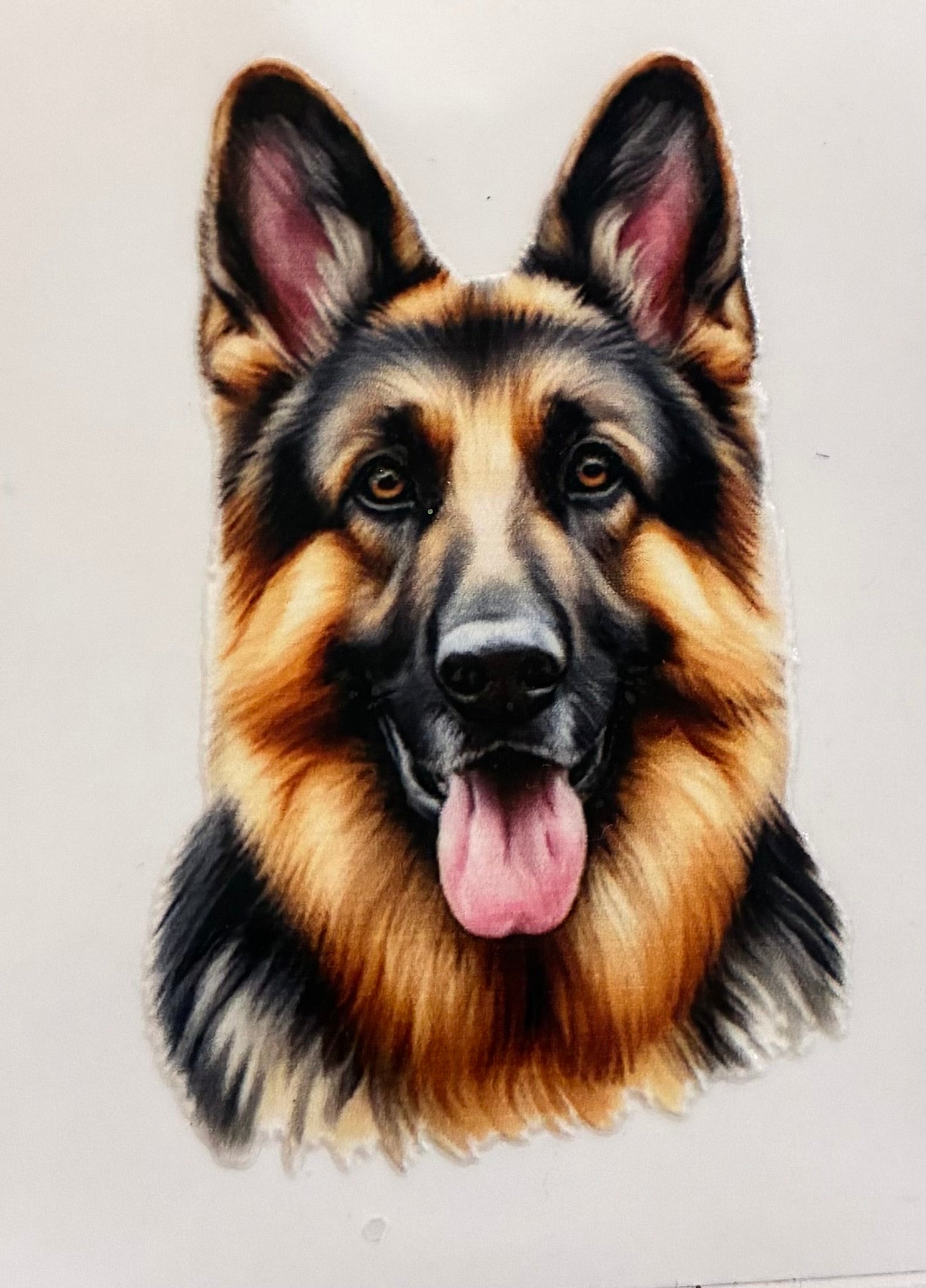 German shepherd