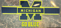 Michigan Wolverines