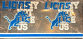 Detroit Lions