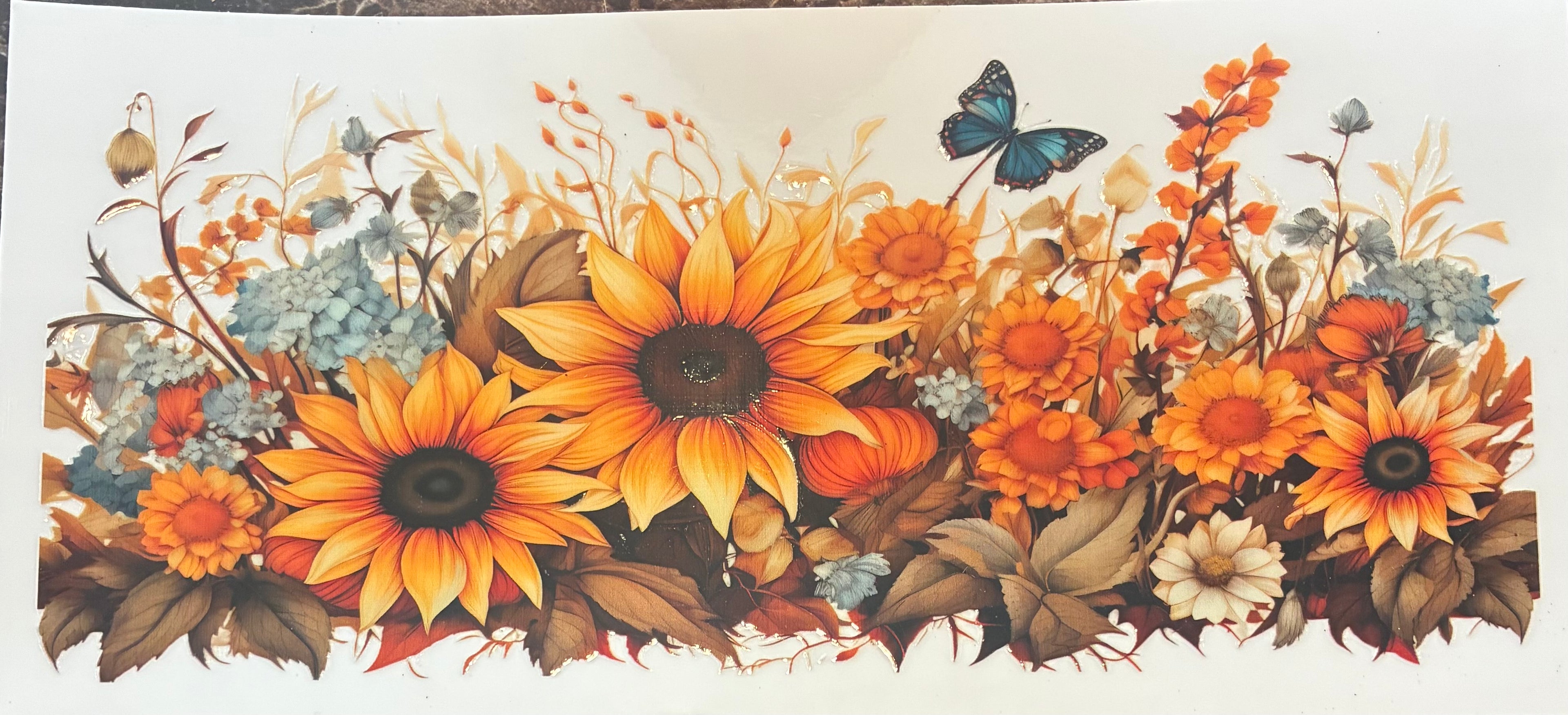 Sunflower
