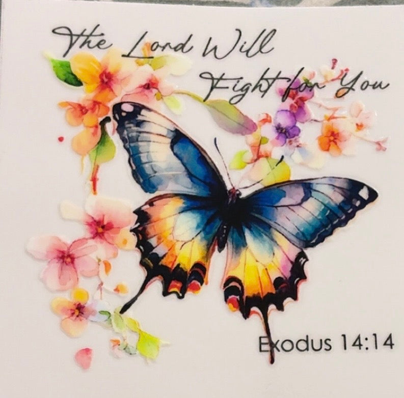 Butterfly