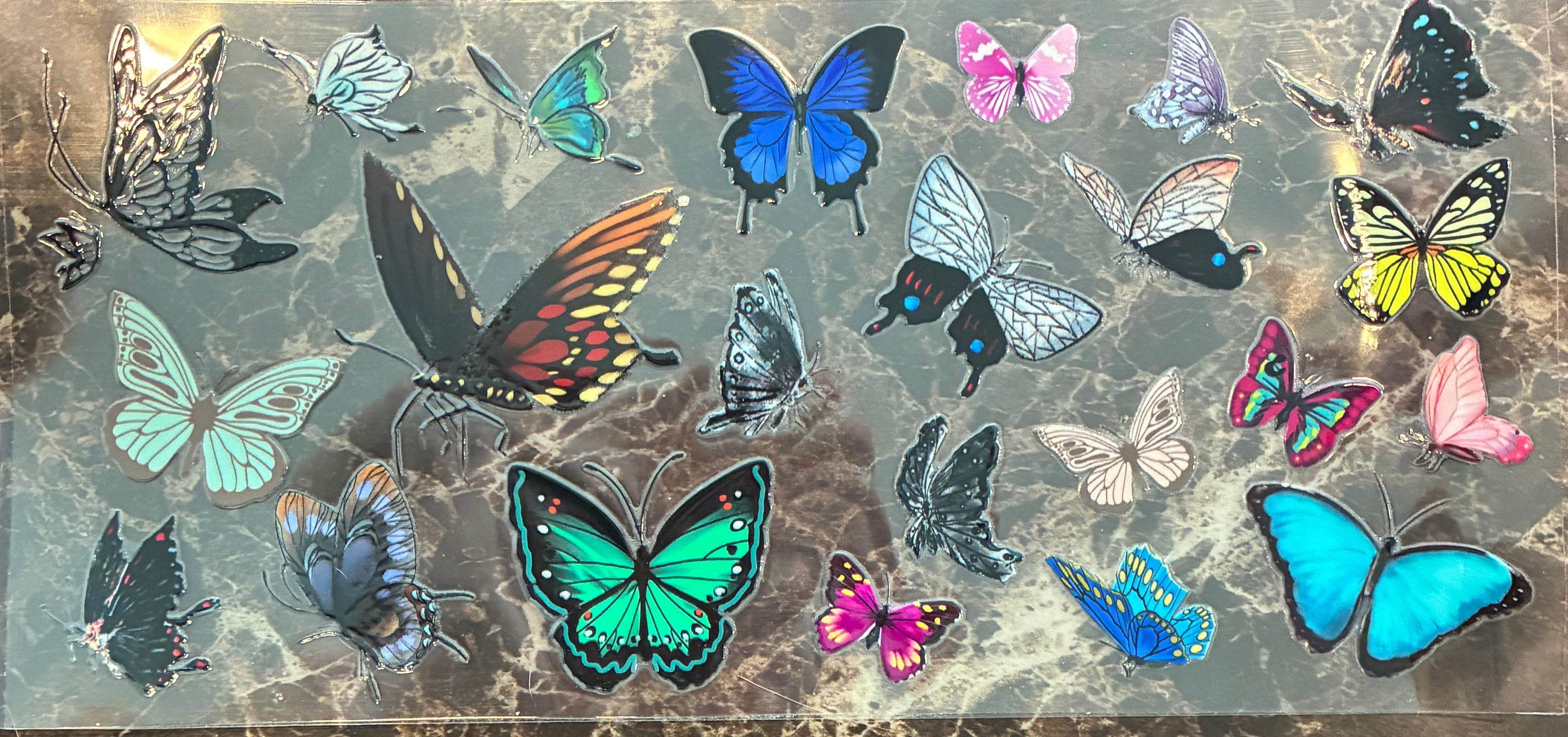 Butterfly