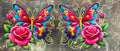 Butterfly