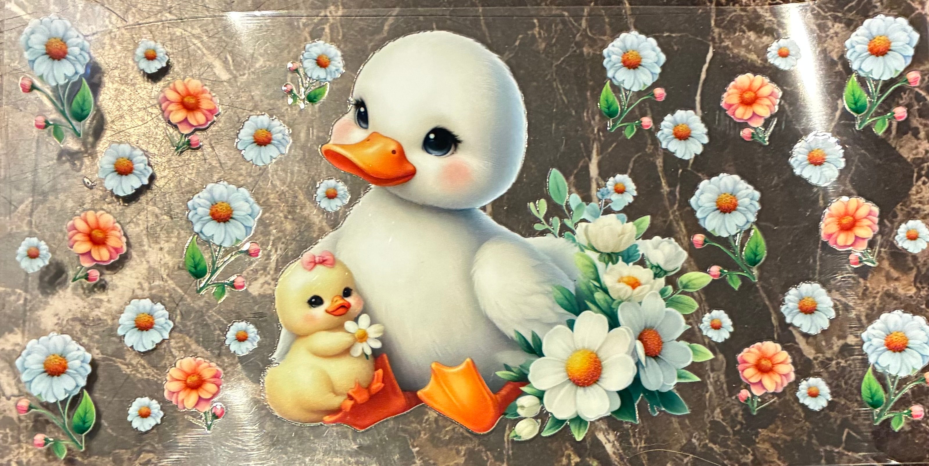 Duck
