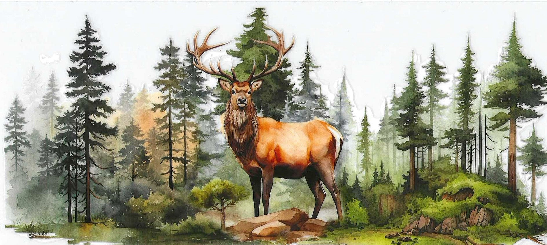 Deer