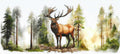 Deer 🦌