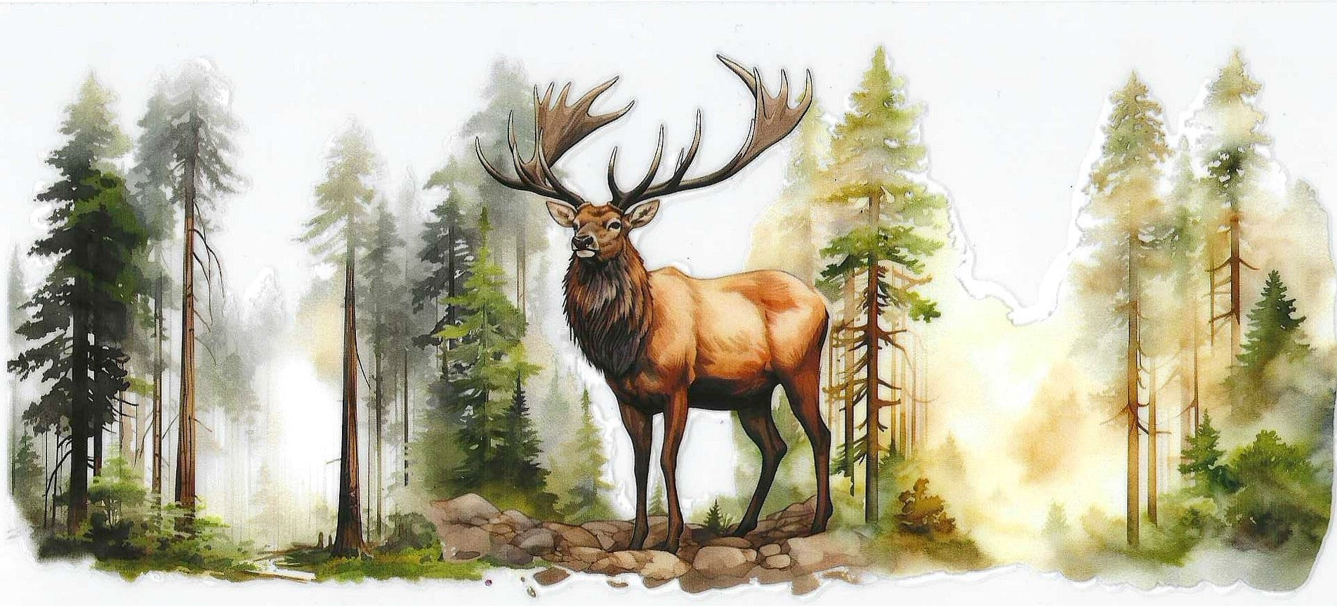 Deer 🦌