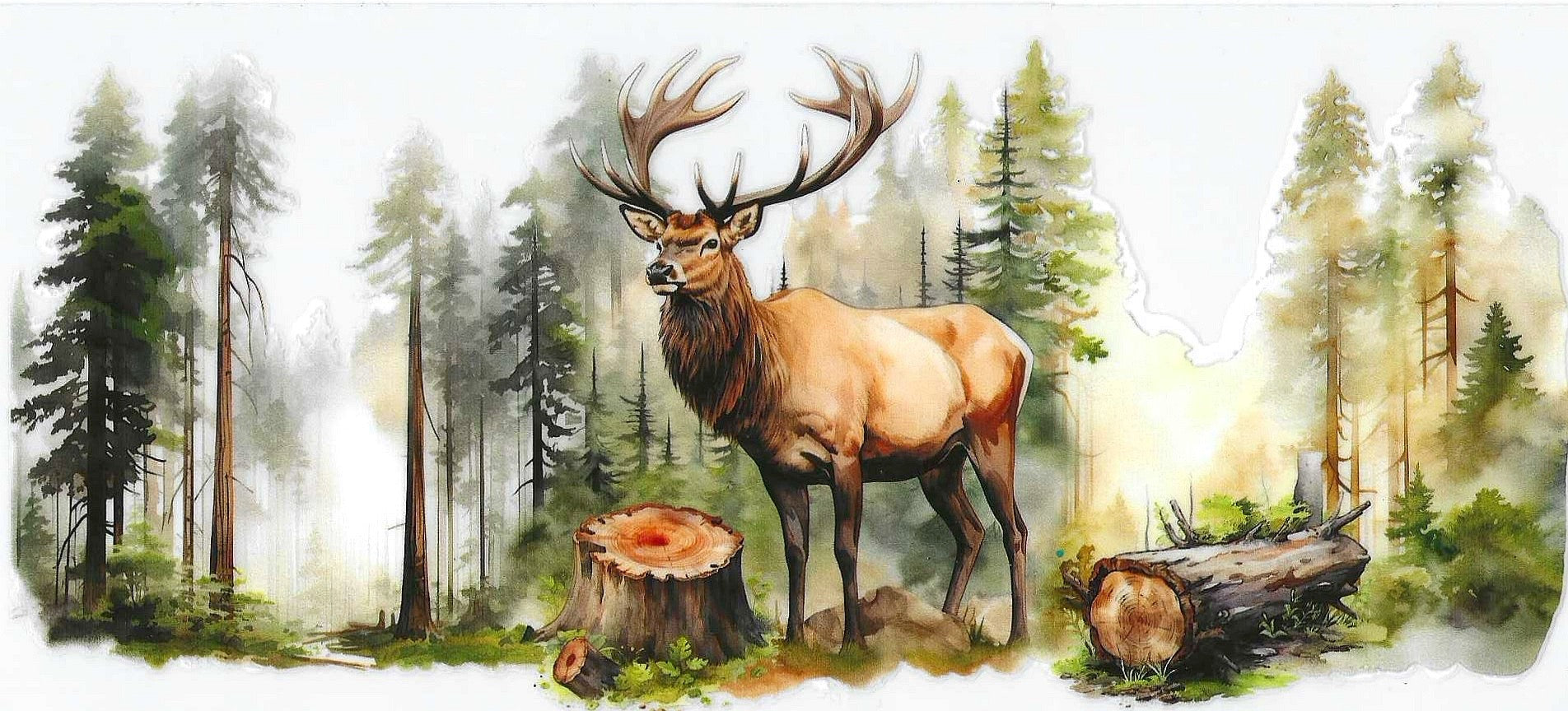 Deer